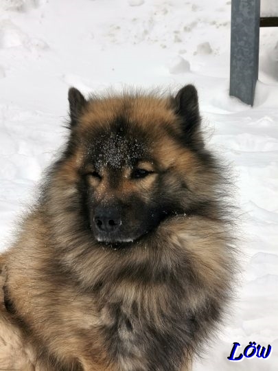 20.2.2026 - Lasst meinen Schnee in Ruhe